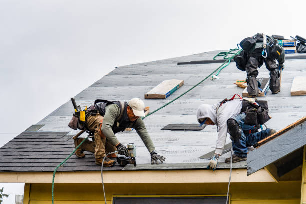 Professional Roofing technician working in Bertram, TX